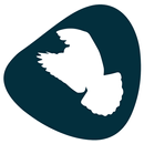APK Rays of Worship Ministries