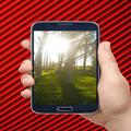 Nature Videos