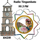RADIO TINGAMBATO APK