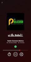 Radio Conexion Mexica poster