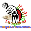 Radio la Orgullosa de Tierra C
