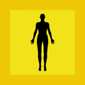 Anatomy