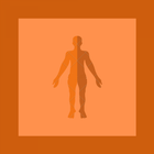 Cuestionario de anatomía icono