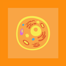 Cytology Quiz APK