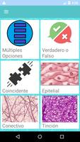 Prueba de histología Poster