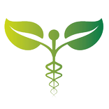 MHollipar Central Hospital App