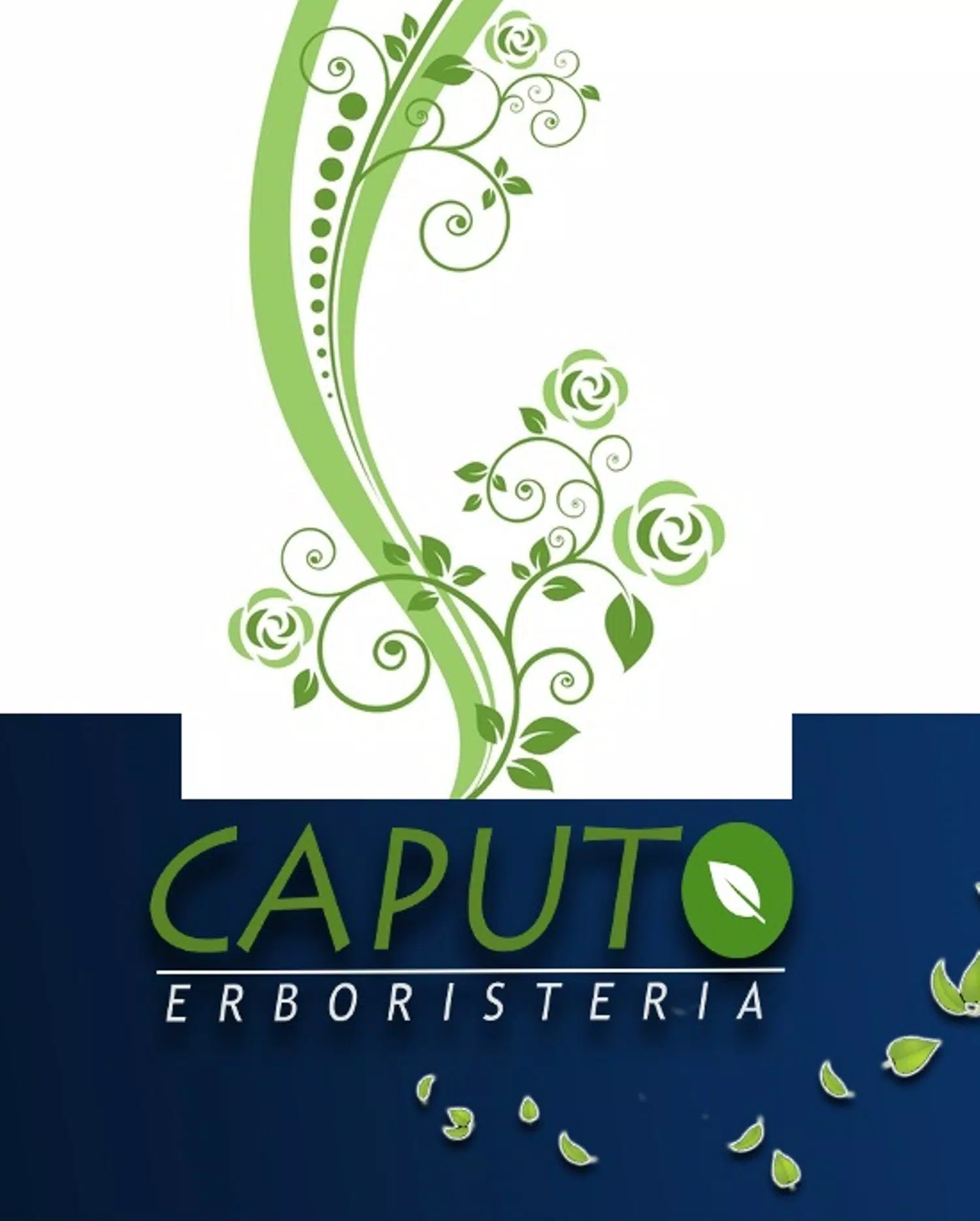Erboristeria Caputo安卓下載，安卓版APK | 免費下載