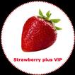 Strawberry Puls Vip