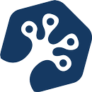 N10 APK