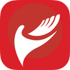 NetFood Order APK