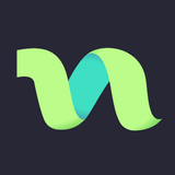 anynet VPN APK