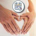 Calcul periode d'ovulation icono