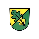 Domsühl APK