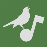 Aves Vox APK