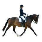 Alison Short Dressage Zeichen