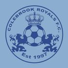 Colebrook REALS Football Club 圖標