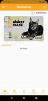QIQI Pet House poster