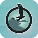 Ali APK