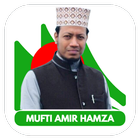 Amir Hamza Waz আইকন