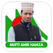 Amir Hamza Waz