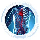 Anatomy and Physiology Quiz