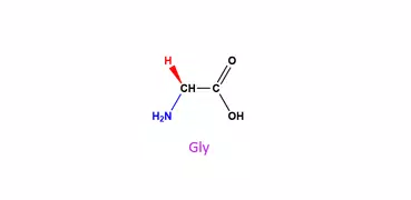 Amino Acids