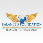 Balanced Foundation icône