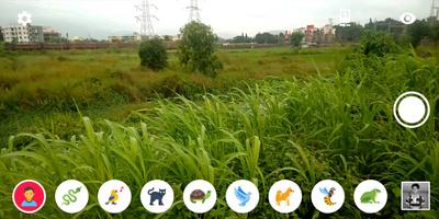 Animal Vision ảnh chụp màn hình 1
