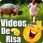 NUEVOS Videos De Risa - Nuevos 图标