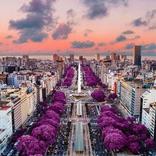 Argentina Wallpapers