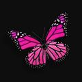 Pink and Black Wallpapers