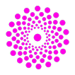 BorderX