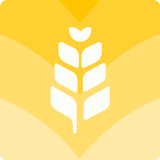 보리 APK