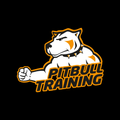 Pitbull Training