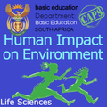 Grade 12 Life Science Q Papers