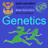 Genetics | Life Sciences Grade