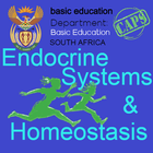 Grade12 Life Sciences Homeosta Zeichen