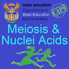 Meiosis and Nuclei Acids | Lif أيقونة