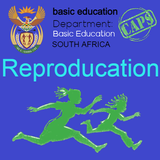 Grade 12 Reproduction | Life S Zeichen