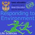 Responding to Environment | Li