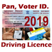 Pan Card Voter Driving Licence-2019
