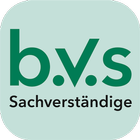BVS иконка