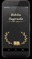 Biblia Sagrada постер