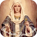 Santo Rosário em Latim APK