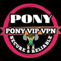 PONY VIP VPN
