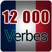 Conjugaison française ไอคอน