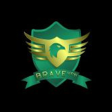 BRAVE VPN أيقونة