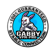 GABBY VPN 3in1