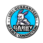 GABBY VPN 3in1 icône