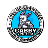 GABBY VPN 3in1 biểu tượng